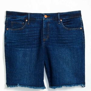 Loft Plus Shorts ~ Size 20